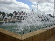 Enlarge photo 316