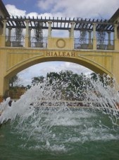 Enlarge photo 317