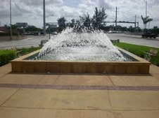 Enlarge photo 318
