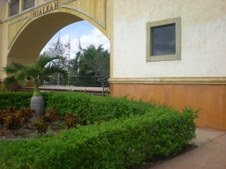 Enlarge photo 323