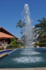Enlarge photo 370
