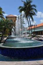 Enlarge photo 372