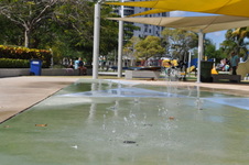 Enlarge photo 333