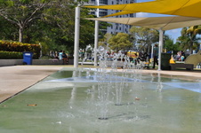 Enlarge photo 334