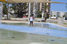 Enlarge photo 335