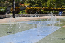 Enlarge photo 342