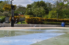 Enlarge photo 343
