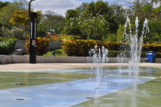 Enlarge photo 344