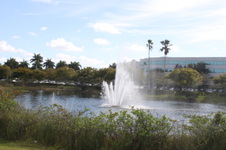 Enlarge photo 72
