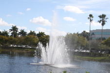 Enlarge photo 73