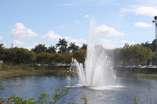 Enlarge photo 74