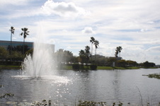 Enlarge photo 75