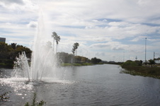 Enlarge photo 76