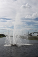 Enlarge photo 77