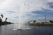 Enlarge photo 78