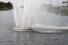 Enlarge photo 79