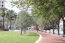 Enlarge photo 177