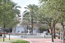 Enlarge photo 178