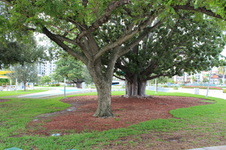 Enlarge photo 350