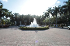Enlarge photo 96