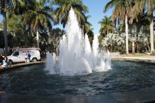 Enlarge photo 103