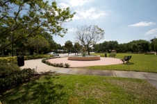 Enlarge photo 236