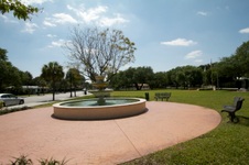 Enlarge photo 237