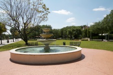 Enlarge photo 234