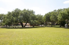 Enlarge photo 525