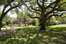 Enlarge photo 538
