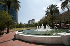 Enlarge photo 251