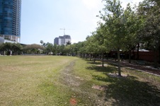 Enlarge photo 568