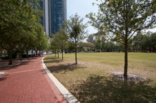Enlarge photo 574