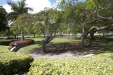 Enlarge photo 412