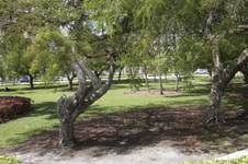 Enlarge photo 413