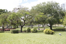 Enlarge photo 415