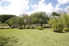 Enlarge photo 416