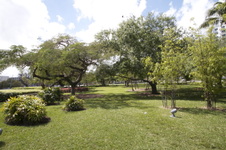 Enlarge photo 418