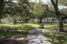 Enlarge photo 421