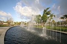Enlarge photo 352