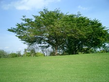 Enlarge photo 84