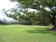 Enlarge photo 92