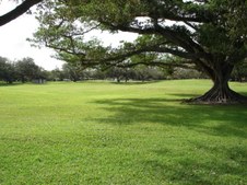 Enlarge photo 91