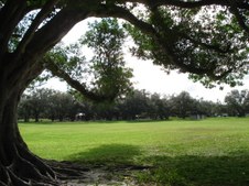 Enlarge photo 90
