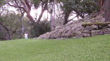 Enlarge photo 101