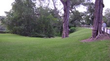 Enlarge photo 102