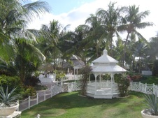 Enlarge photo 45