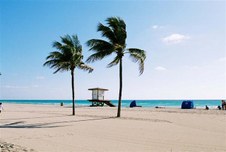 Enlarge photo 77