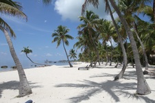 Enlarge photo 67
