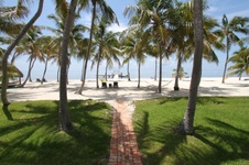 Enlarge photo 56
